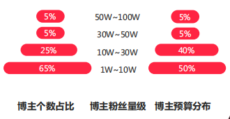 小红书搜索广告不同粉丝量级博主投放占比