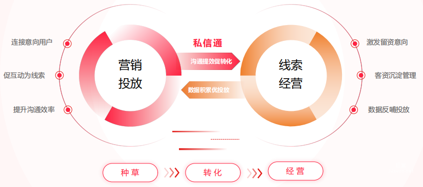小红书广告搜索种草、转化、经营