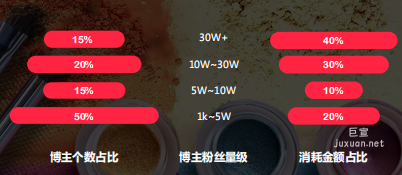 小红书广告投放博主个数、粉丝、消耗金额占比