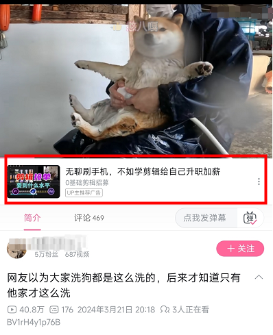 up主推荐广告效果展示