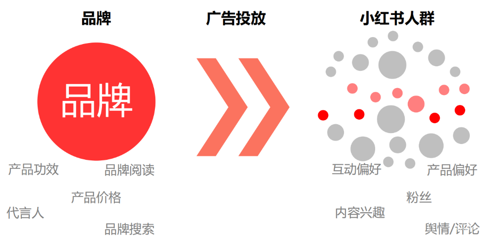小红书品牌投放人群
