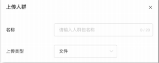 小红书广告上传人群