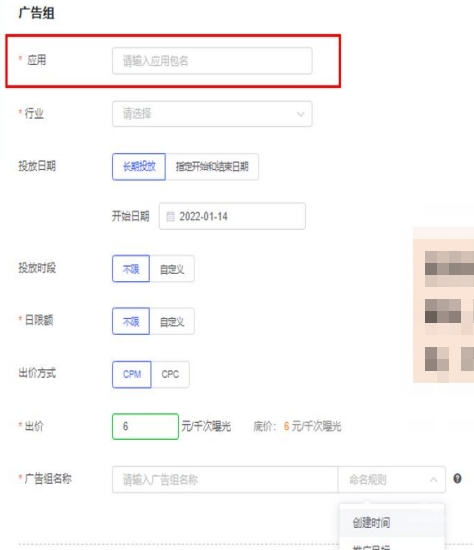 填写vivo广告组基础信息