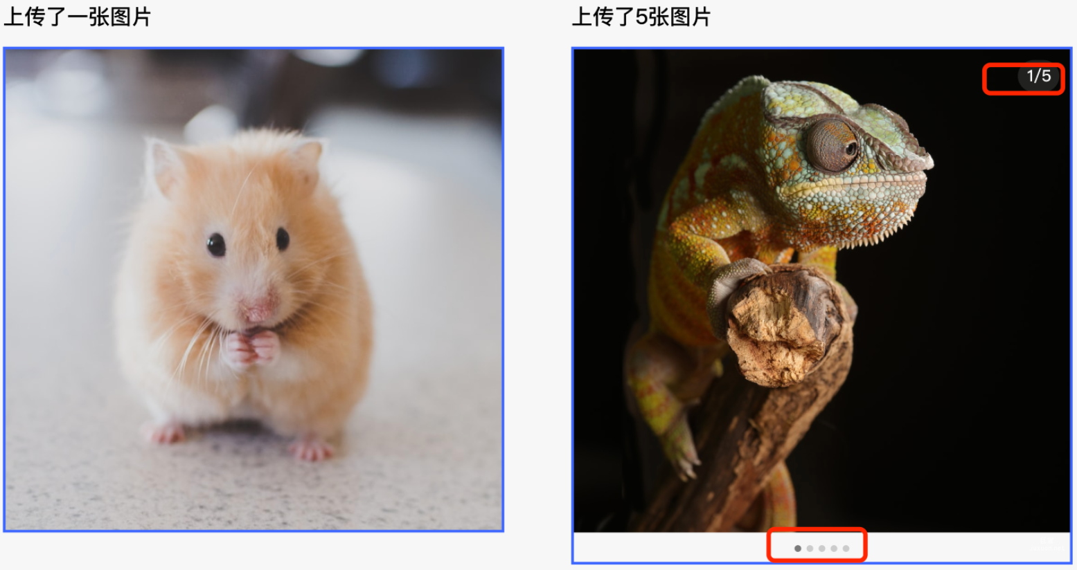 小红书广告上传图片数量