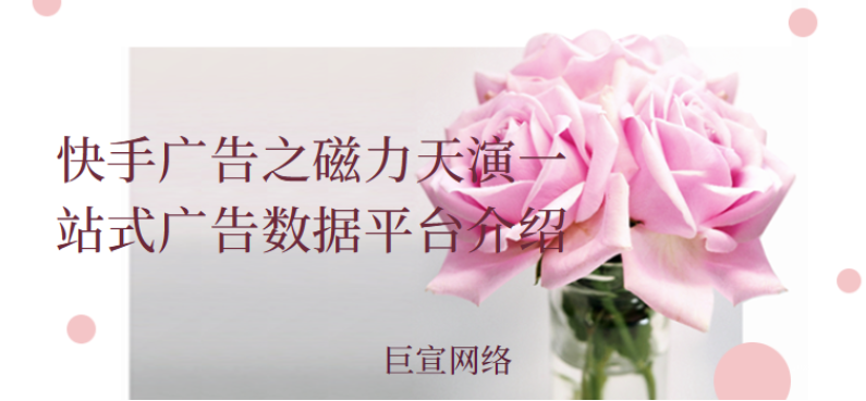 快手广告之磁力天演一站式广告数据平台介绍