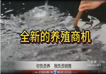 vivo广告视频素材