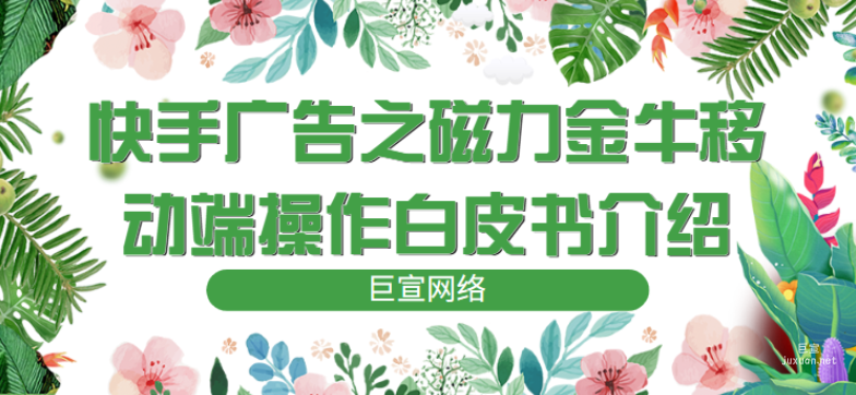 快手广告之磁力金牛移动端操作白皮书介绍