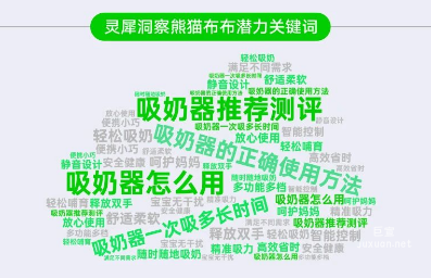 小红书广告灵犀洞察熊猫布布潜力关键词