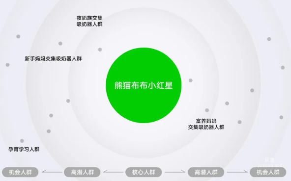 小红书广告熊猫布布小红星