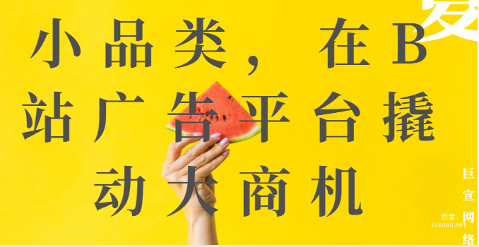 小品类，在B站广告平台撬动大商机