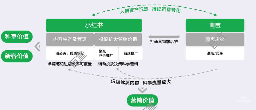 小红书广告助力进店成本降低81%，小众品牌赛逸如何走向大赛道？
