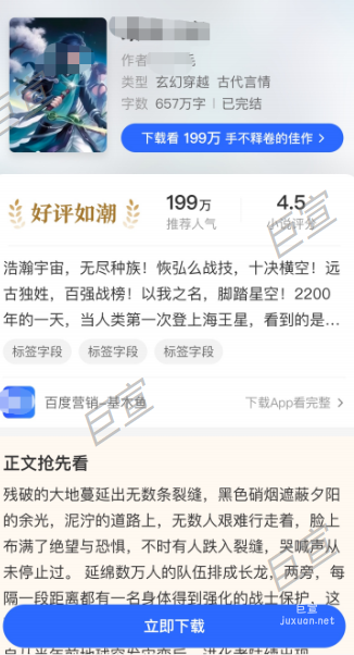 百度广告小说行业程序化模版