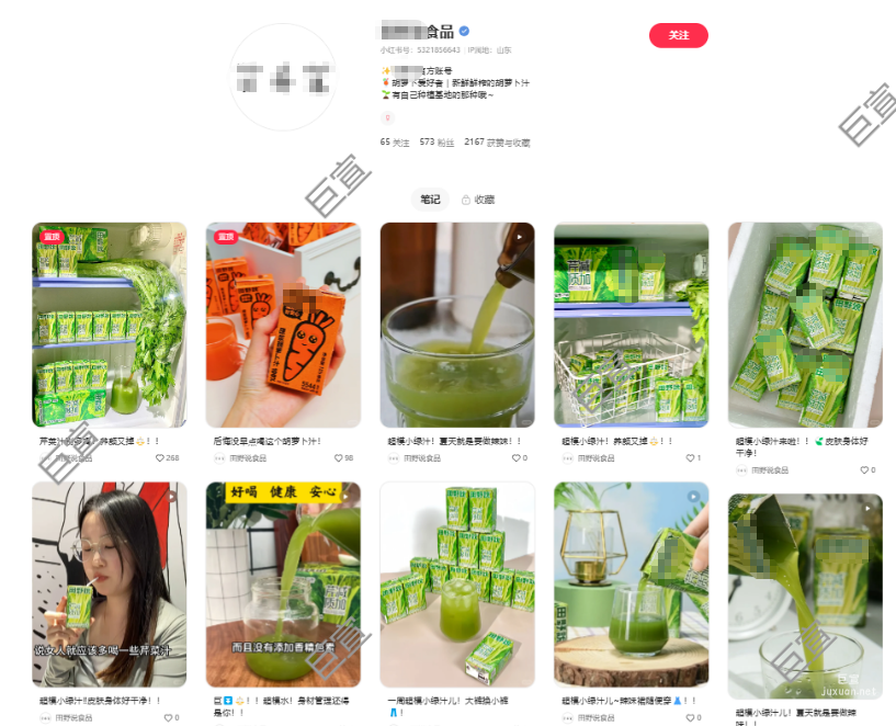 小红书聚光广告投放案例